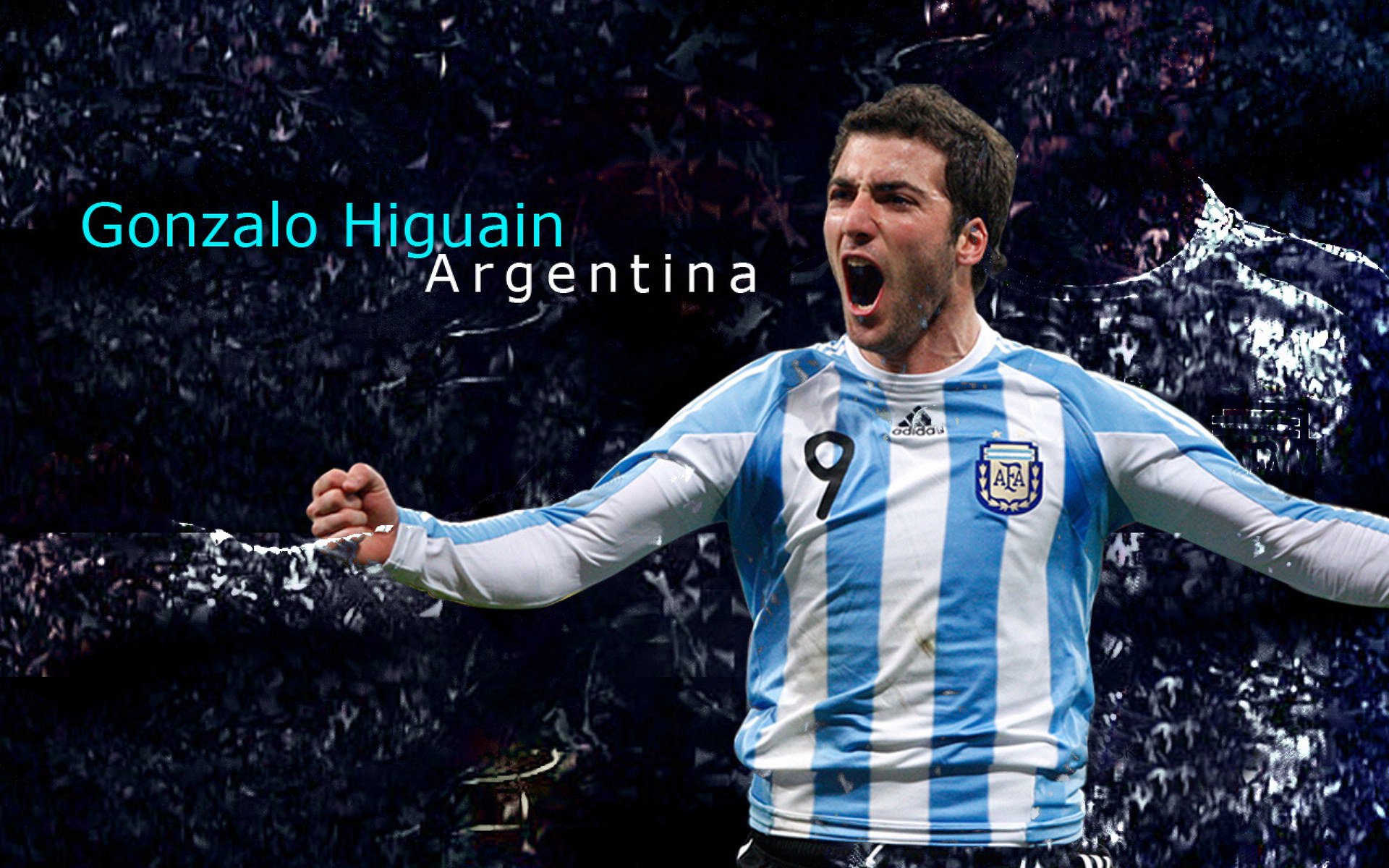 体育报道呈现多元视角，体育报道怎么写范文